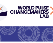 White rectangle that says: World Pulse Changemakers' Lab with an icon of a woman in orange to the left speaking at a microphone, below is a solid blue bar framing the bottom of the rectangle with icons of sun-like shapes inside the blue bar.