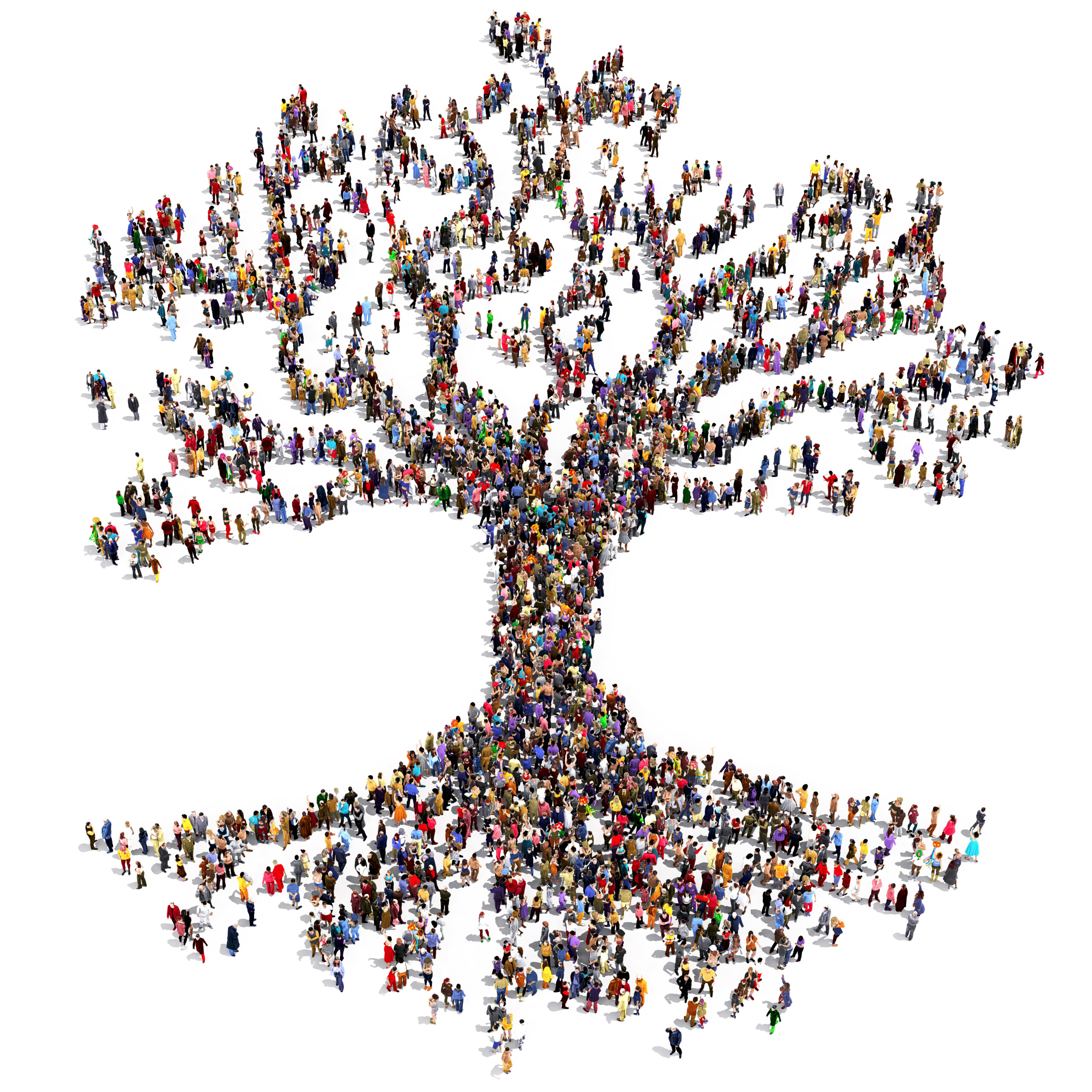 Photo on a white background of a shape of a multi-coloured tree, when you look closely it is made up of people