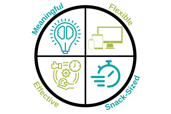 Pie graph showing the 4 characteristics that make snippets different: meaningful, flexible, effective, snack-sized.