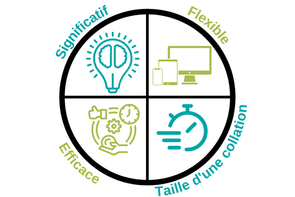 Graphique circulaire montrant les 4 caractéristiques qui rendent les snippets différents : significatifs, flexibles, efficaces, de taille réduite.