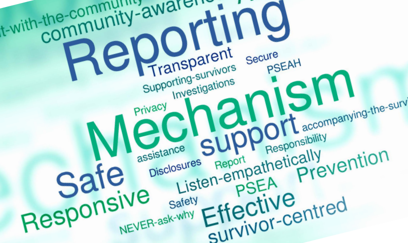 Cover of a publication on a white background with the title: Reporting Mechanisms and Community Engagement. Underneath is a word cloud.