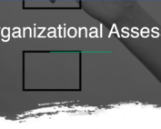 Screenshot of a website title page that says PSEAH Organizational Assessment Tool (in white writing on a grey background)