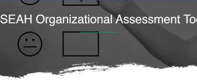 Screenshot of a website title page that says PSEAH Organizational Assessment Tool (in white writing on a grey background)